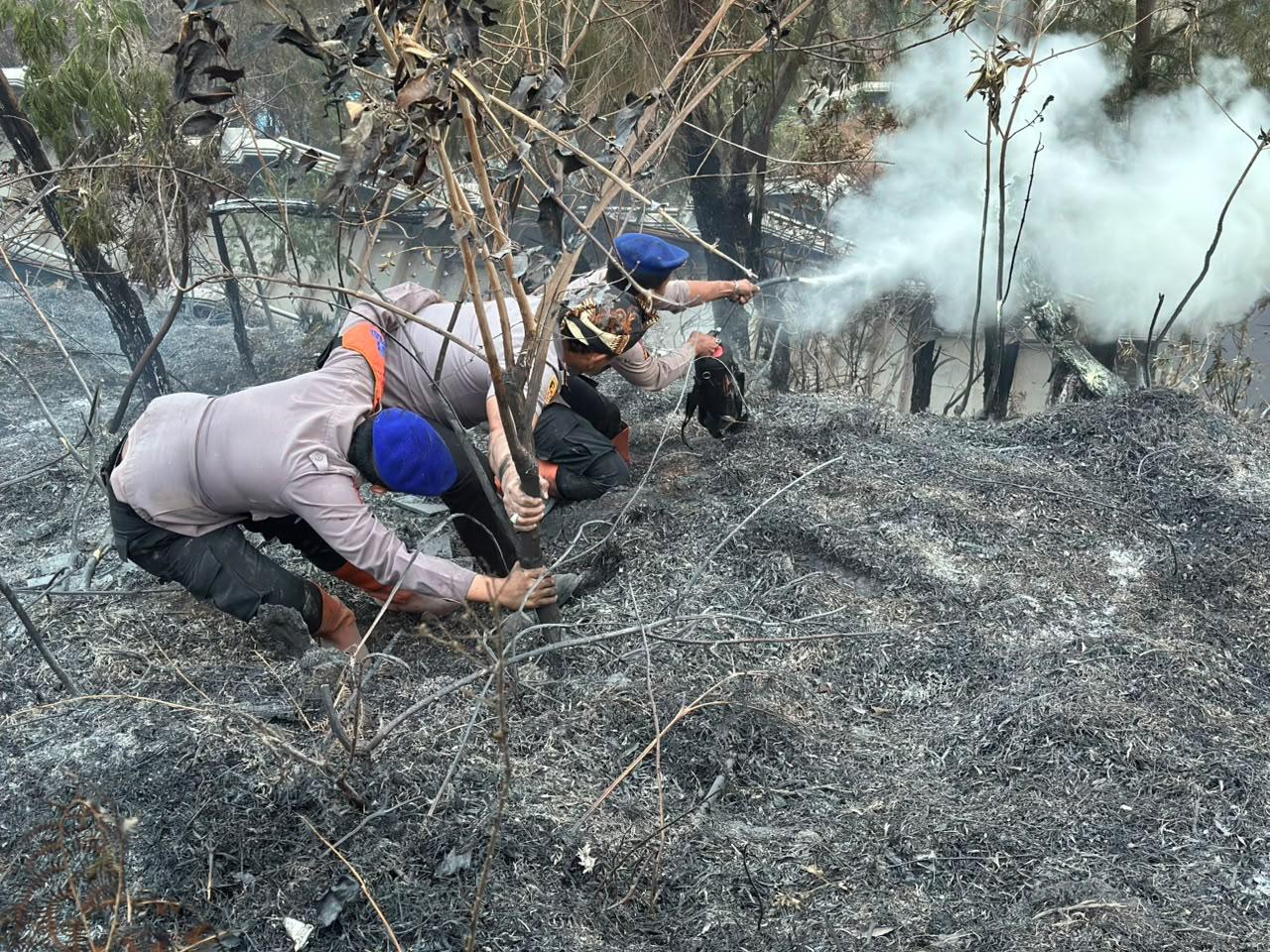 Personel BKO Polda Jatim Gerak Cepat Padamkan Titik Api, Cegah Karhutla TNBTS Meluas