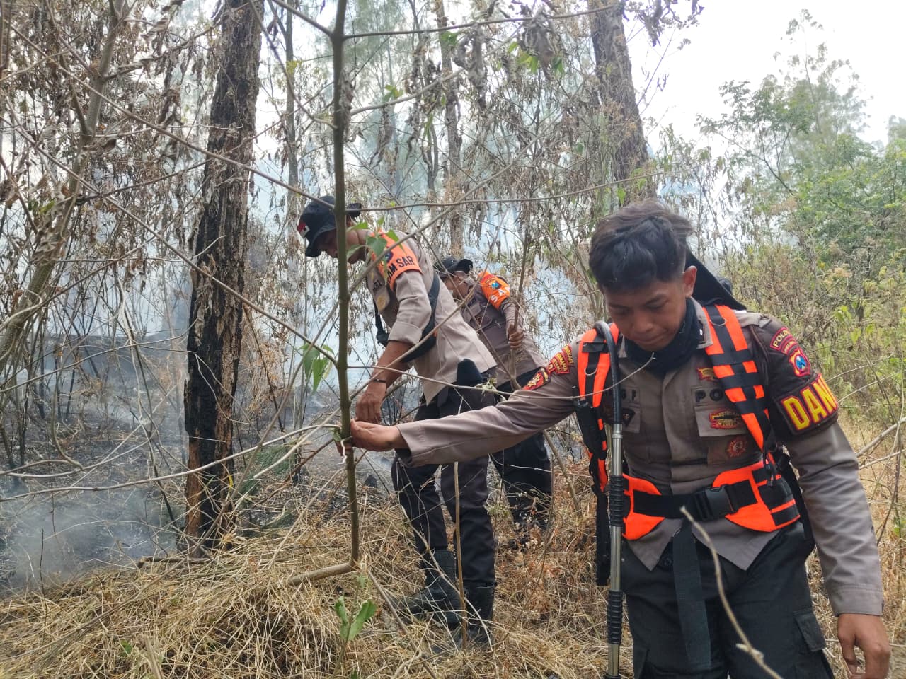 Polda Jatim dan Tim Gabungan Tangani Karhutla Gunung Arjuno Sisir 4 Wilayah