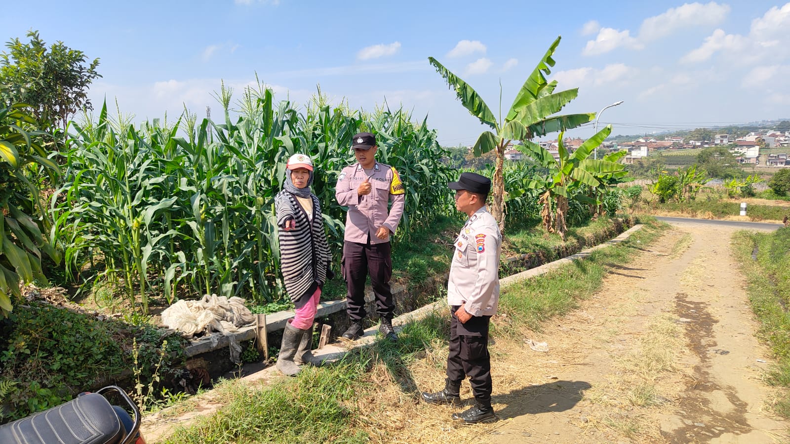 Sambang Petani Jagung Paragon, Ps. Kanit Binmas Polsek Bumiaji dan Bhabinkamtibmas Pandanrejo Perkuat Ketahanan Pangan