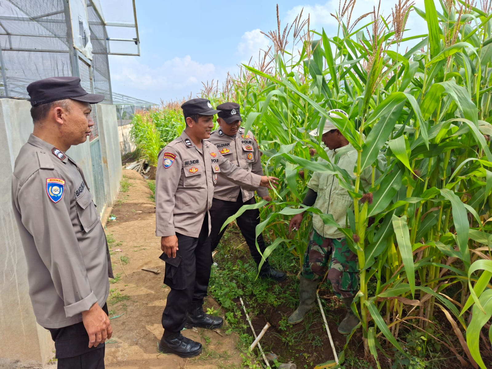 Sambang Petani Jagung Pipil, Briptu Aldian Serap Aspirasi Petani dan Perkuat Ketahanan Pangan