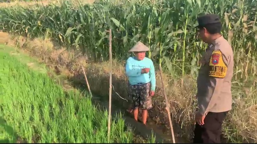 Sambang Petani di Sukosari, Brigpol Andi Serap Aspirasi dan Perkuat Ketahanan Pangan serta Kamtibmas