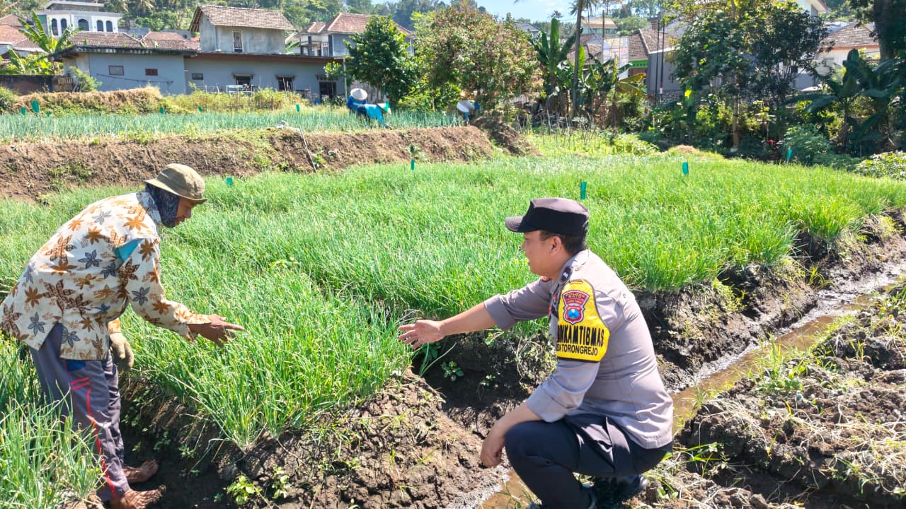 Dukung Ketahanan Pangan, Aipda Dul Didit Sambangi Petani Bawang Merah dan Sampaikan Pesan Kamtibmas