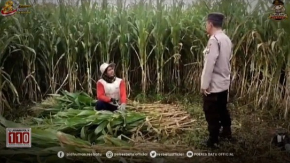 Sambangi Petani Jagung, Aiptu Sugiyanto Serap Aspirasi Warga dan Perkuat Ketahanan Pangan di Pujon