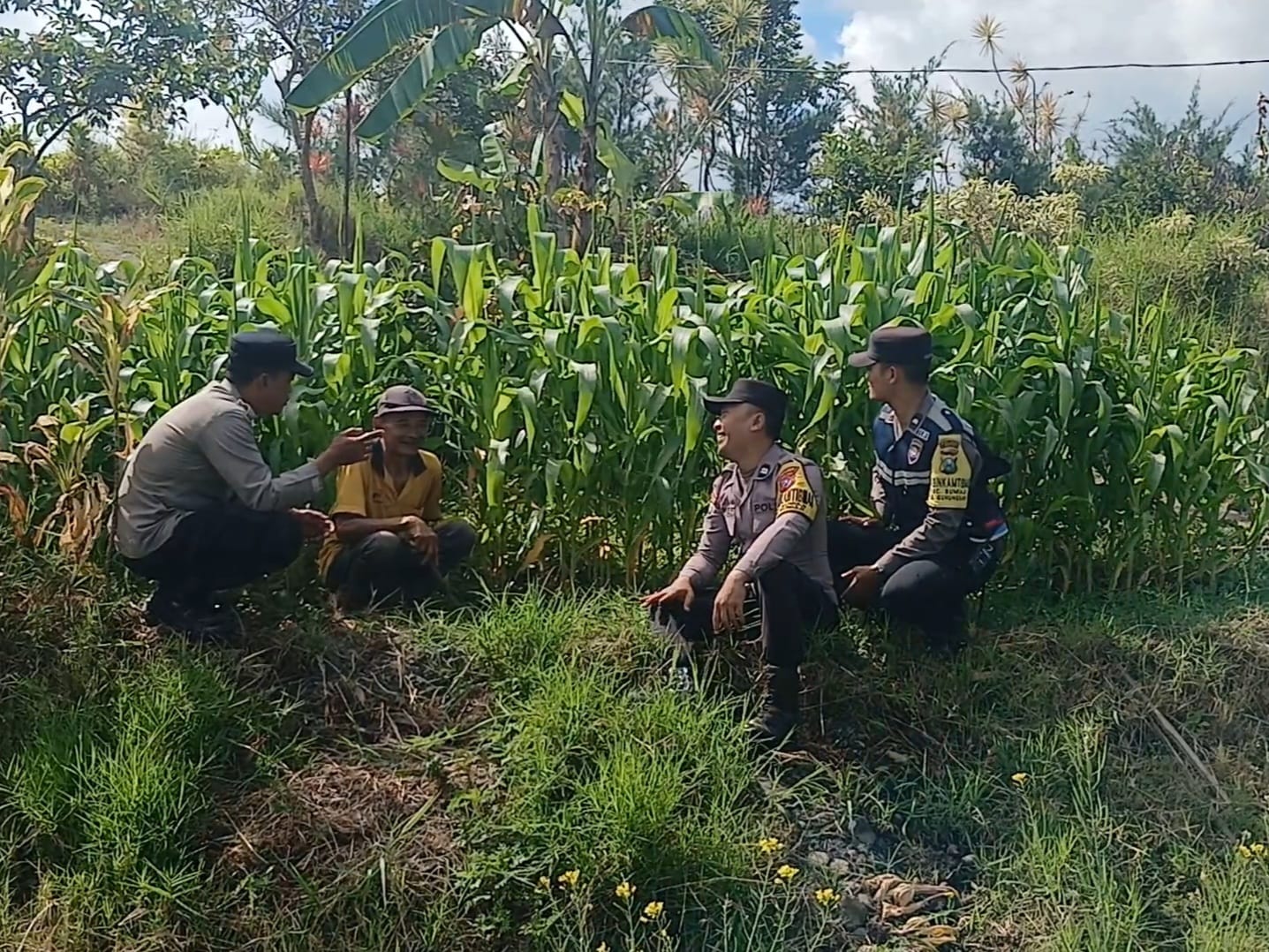 Dari Lahan Jagung Gunungsari, Aipda Andry Perkuat Sinergi Bersama Petani Demi Ketahanan Pangan