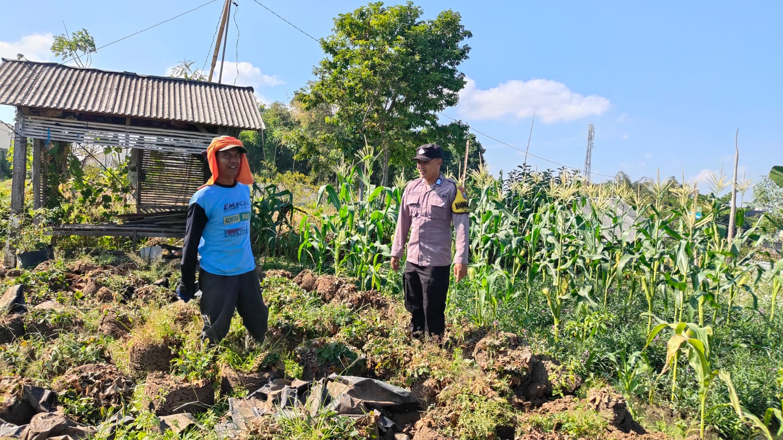 Dengarkan Keluh Kesah Petani, Brigpol Nur Fiqih Perkuat Sinergi Ketahanan Pangan di Pandanrejo