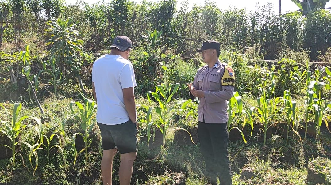 Brigpol Nur Fiqih Serap Aspirasi Petani, Perkuat Sinergi Hadapi Dampak Musim Pancaroba di Pandanrejo