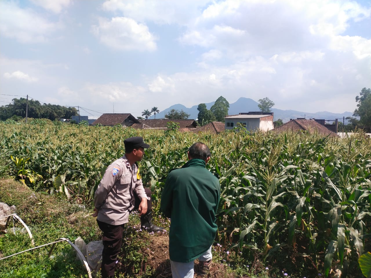 Sambang Petani Jagung di Bendosari, Aipda Ainul Heri Serap Aspirasi Demi Perkuat Ketahanan Pangan