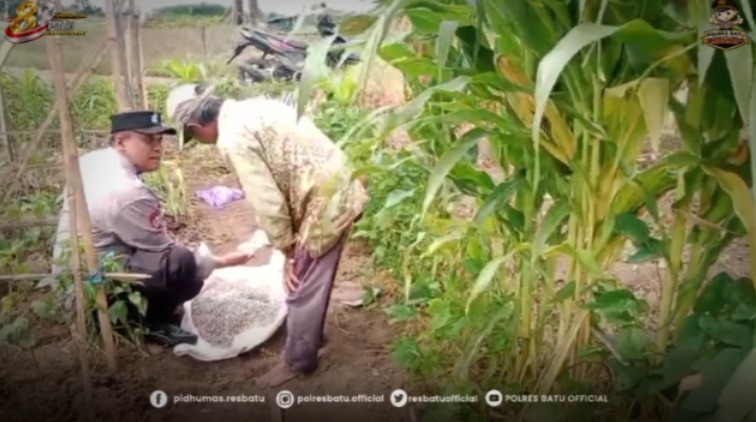 Sambangi Petani Jagung, Aiptu Momon Serap Aspirasi dan Perkuat Sinergi Ketahanan Pangan di Sukomulyo