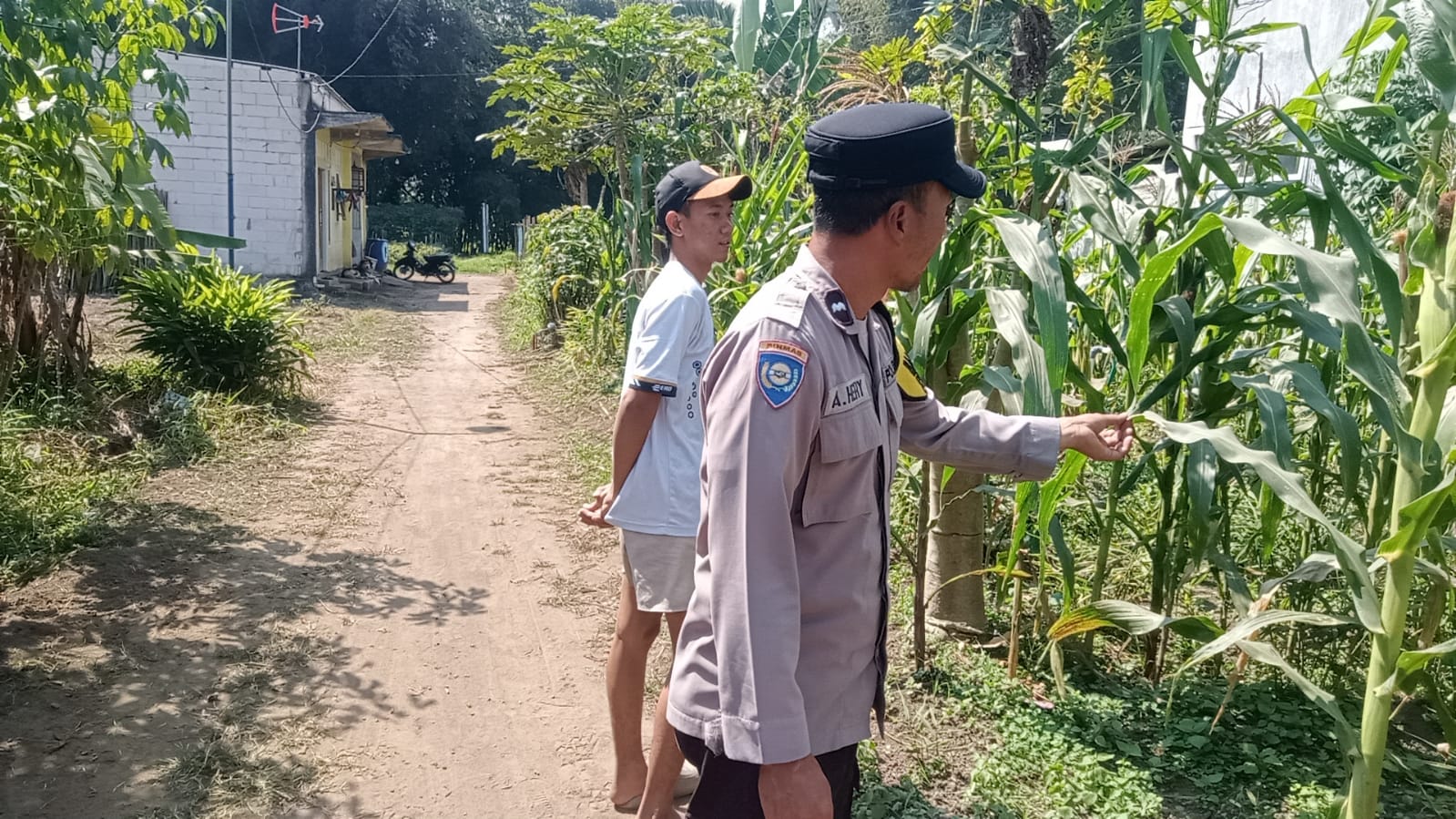 Sambang Petani Jagung, Aipda Ainul Heri Serap Aspirasi Demi Ketahanan Pangan di Bendosari
