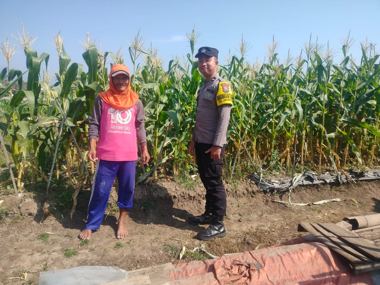 Sambang Petani Jagung Manis, Bripda Fariz Perkuat Sinergi Wujudkan Ketahanan Pangan di Dadaprejo