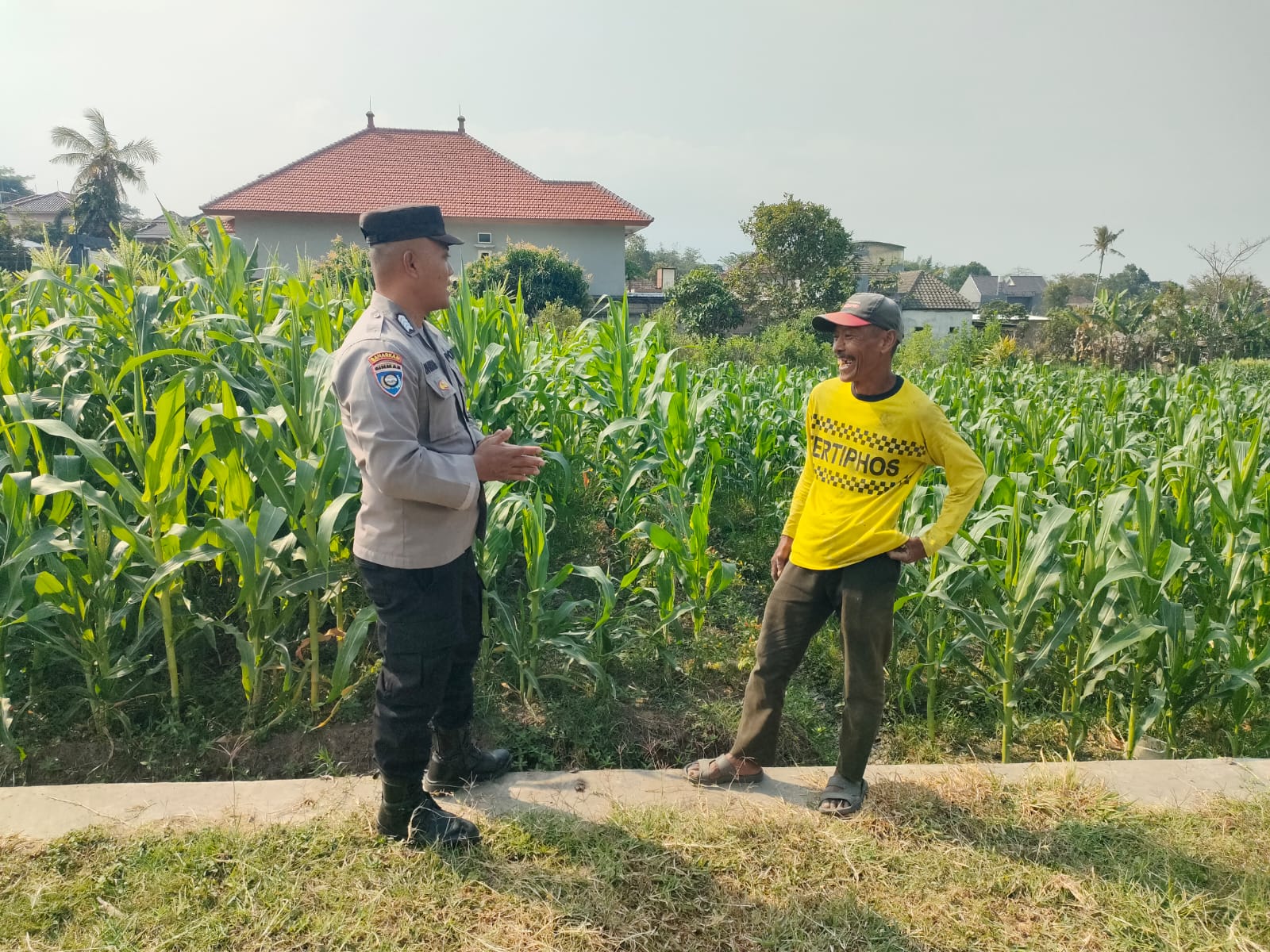 Sambang Lahan Jagung, Bhabinkamtibmas Mojorejo Perkuat Sinergi Bersama Petani Dukung Ketahanan Pangan