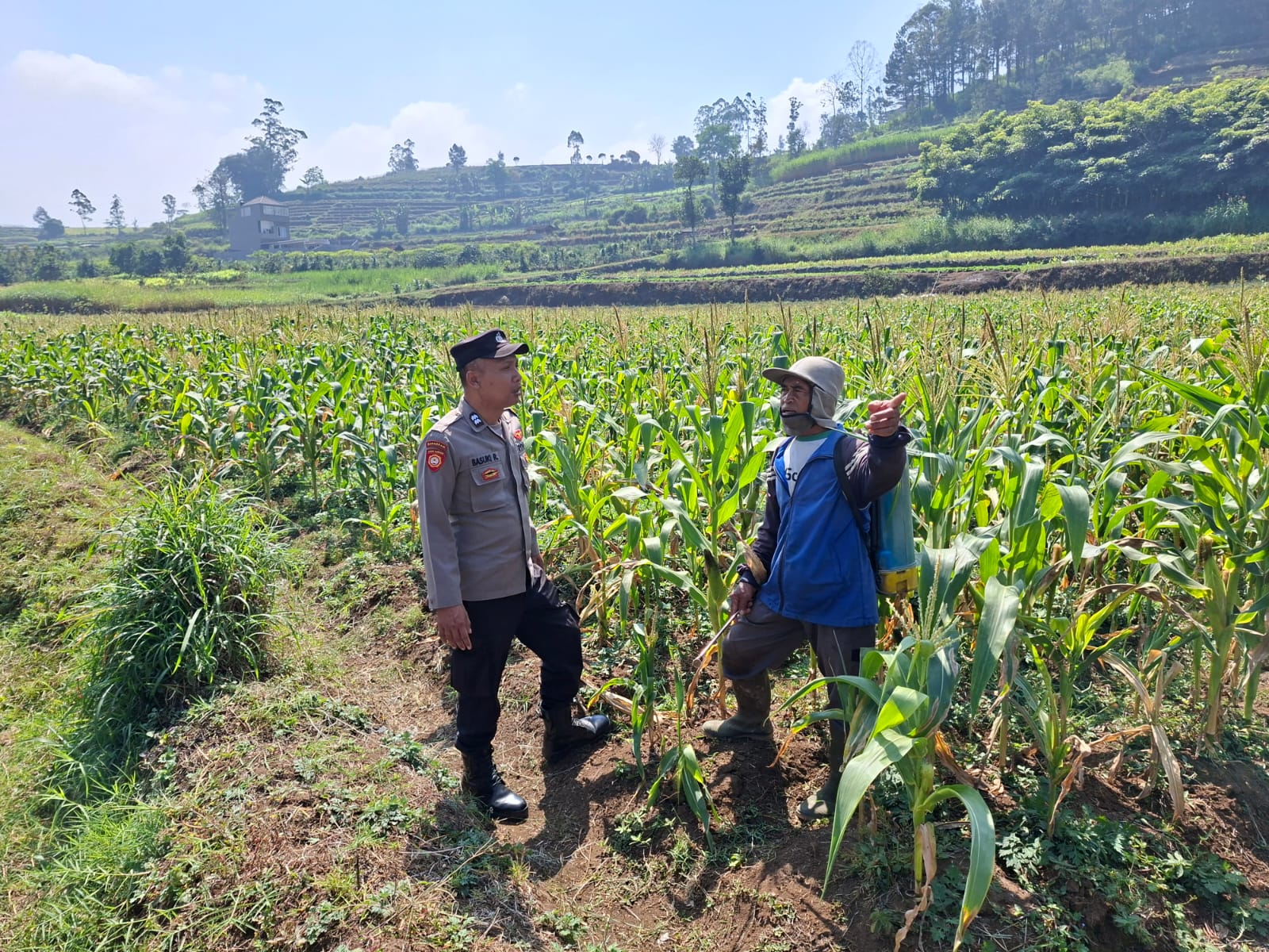 Serap Aspirasi Petani Jagung Pipil, Bhabinkamtibmas Ngabab Perkuat Sinergi Dukung Ketahanan Pangan