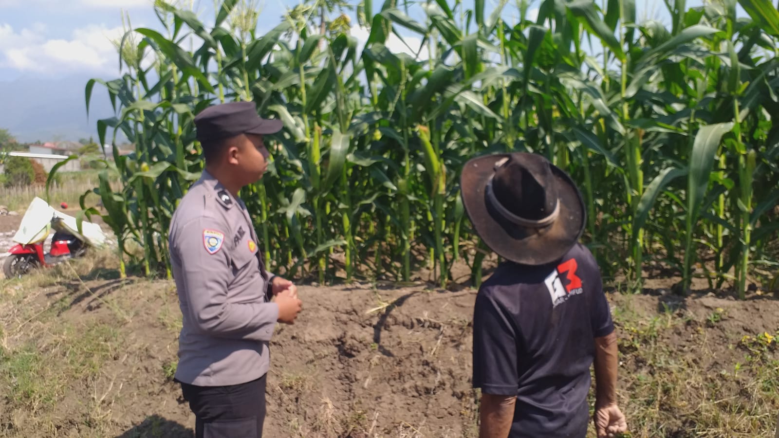 Bripda Fariz Turun ke Lahan, Dampingi Petani Jagung Wujudkan Ketahanan Pangan dan Kamtibmas di Dadaprejo