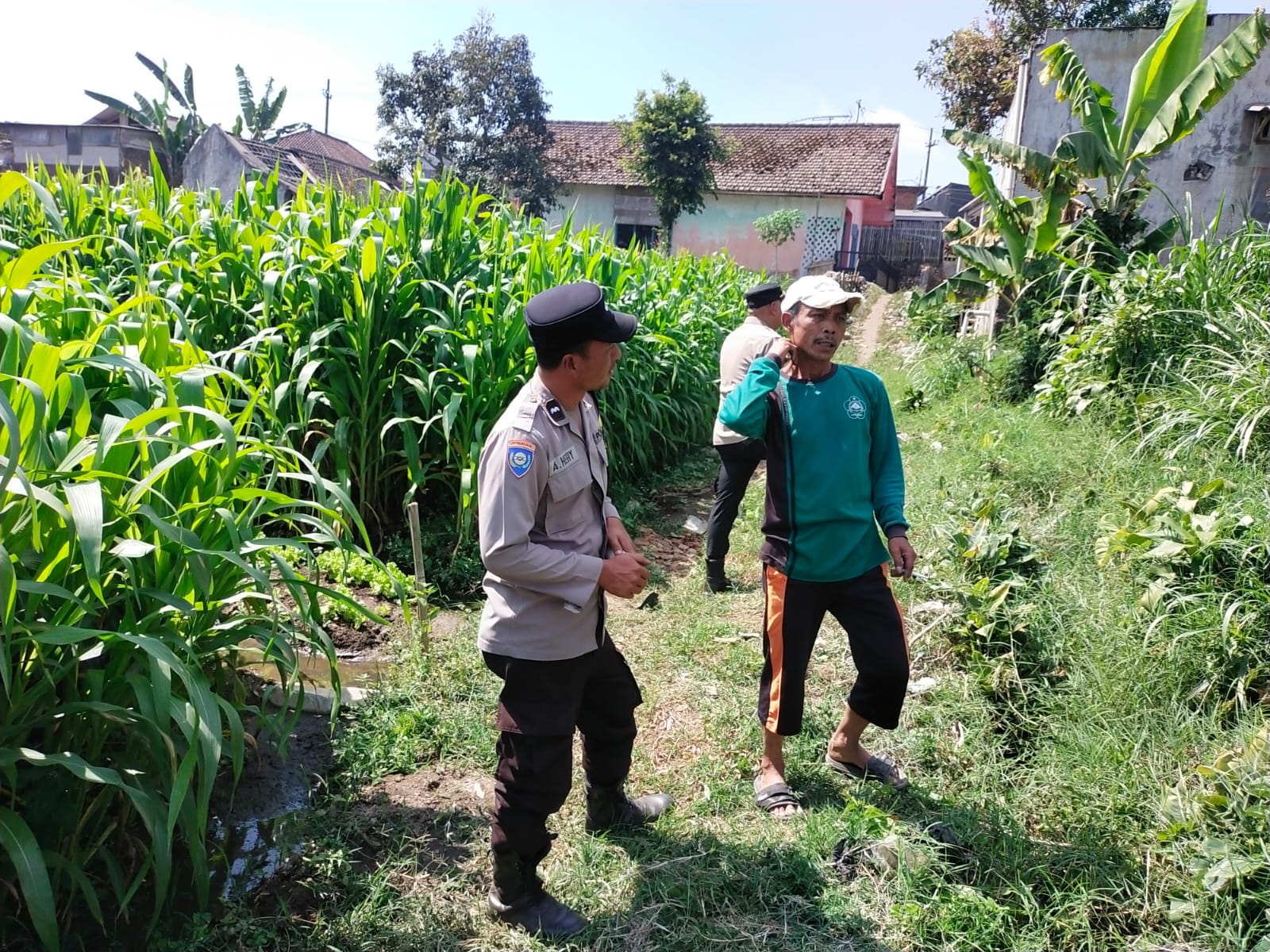 Turun ke Lahan, Aipda Ainul Heri Tampung Aspirasi Petani Jagung untuk Perkuat Ketahanan Pangan dan Kamtibmas