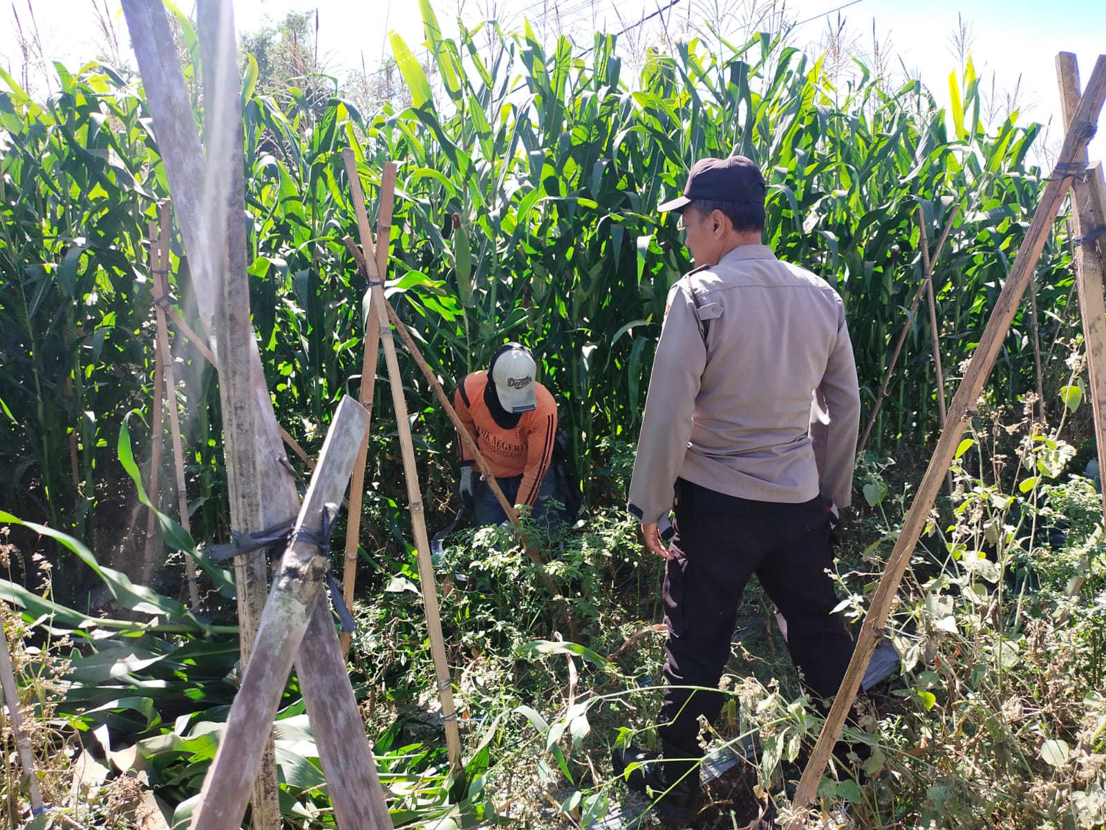 Sambang Petani di Lahan, Aiptu Sugiyanto Serap Aspirasi Perkuat Ketahanan Pangan di Pandesari