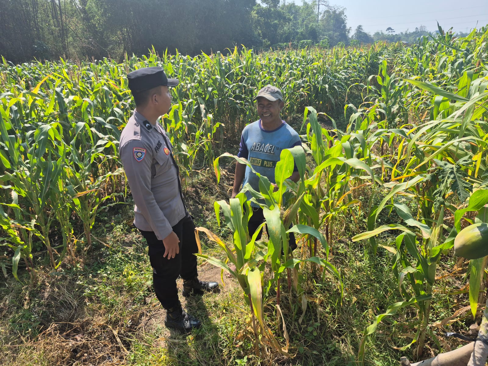 Bripda Fariz Perkuat Sinergi Bersama Petani Jagung, Wujudkan Ketahanan Pangan dan Kamtibmas