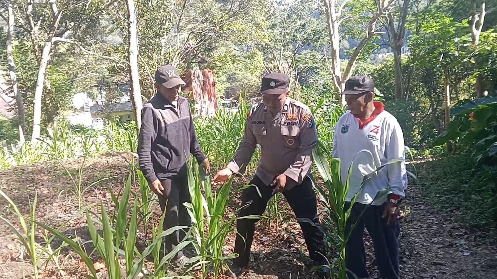 Polri Turun ke Lahan, Aiptu Nurkolis dan Aipda Junaedi Perkuat Sinergi Petani Dukung Ketahanan Pangan