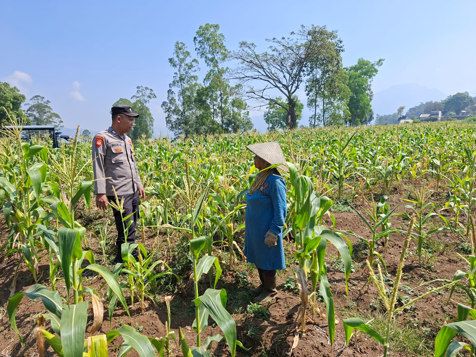 Polri Perkuat Ketahanan Pangan, Polsek Pujon Sambang Petani Jagung Pipil dan Serap Aspirasi Masyarakat