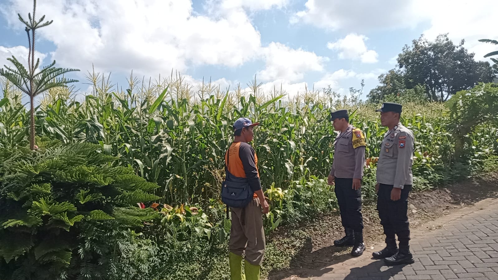 Sambang Petani Jagung Manis, Binmas Polsek Bumiaji Perkuat Sinergi Wujudkan Ketahanan Pangan