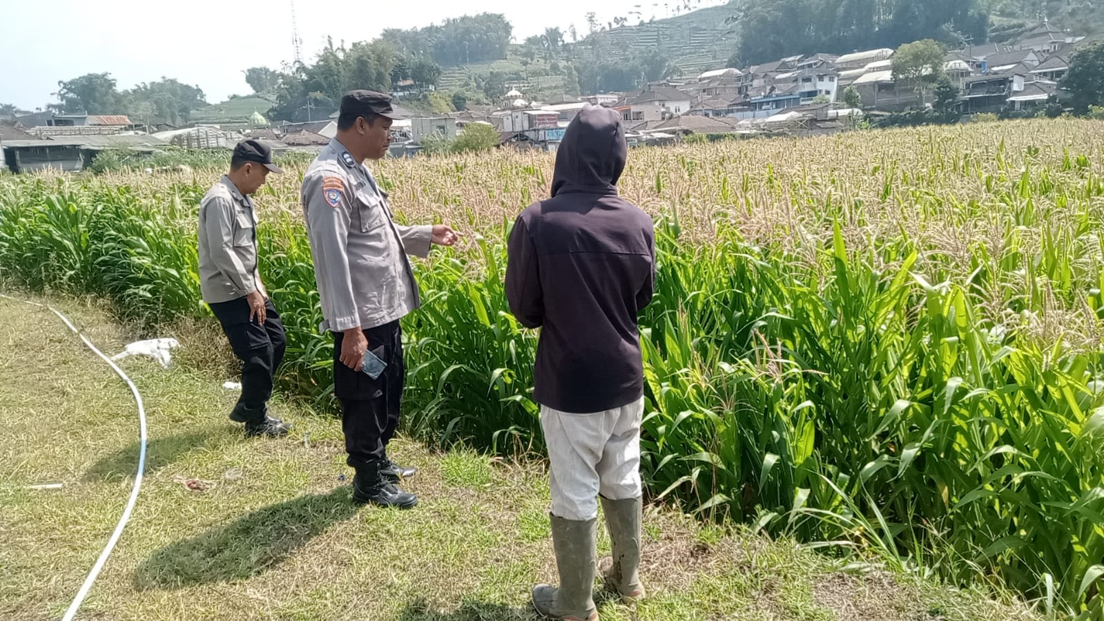 Sambang Petani di Lahan, Binmas Pioner Serap Aspirasi Demi Ketahanan Pangan