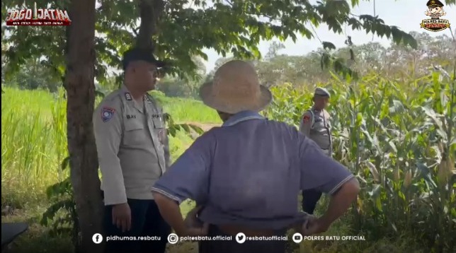 Sambang Petani Jagung, Bhabinkamtibmas Sukosari Perkuat Kedekatan dan Dukung Ketahanan Pangan