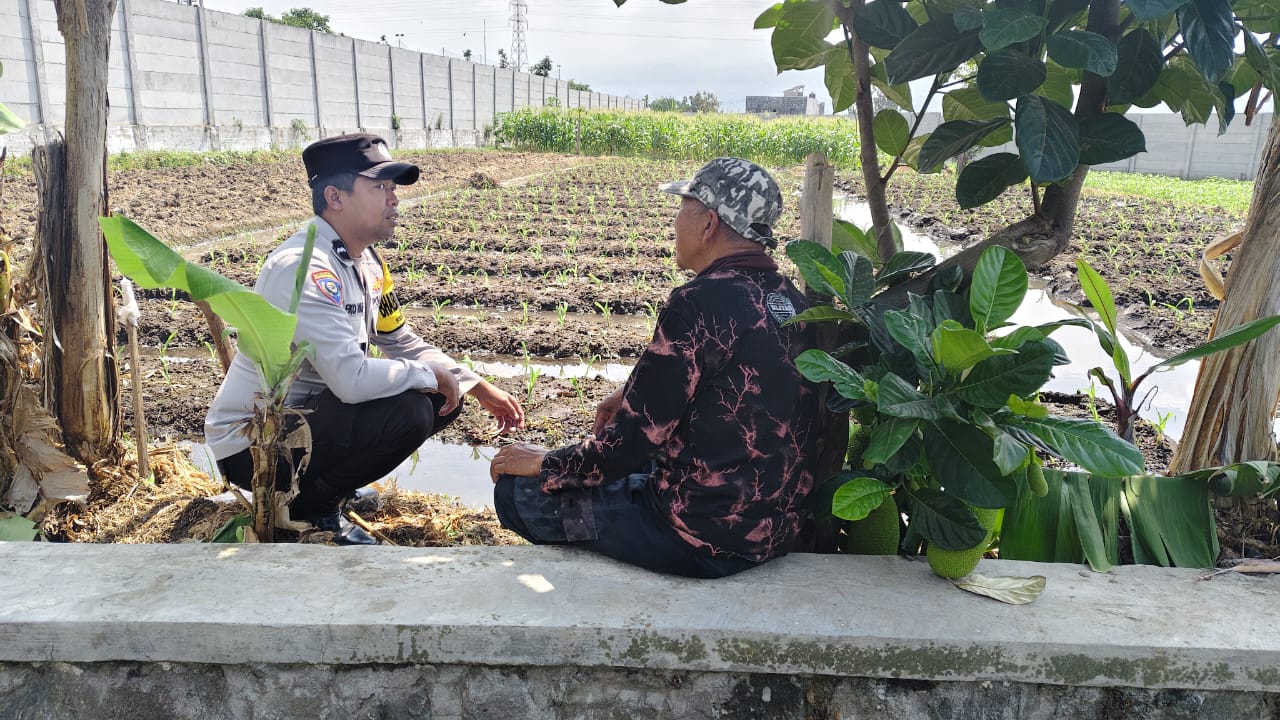 Polsek Junrejo Turun ke Lahan, Serap Aspirasi Petani Jagung Manis untuk Perkuat Ketahanan Pangan