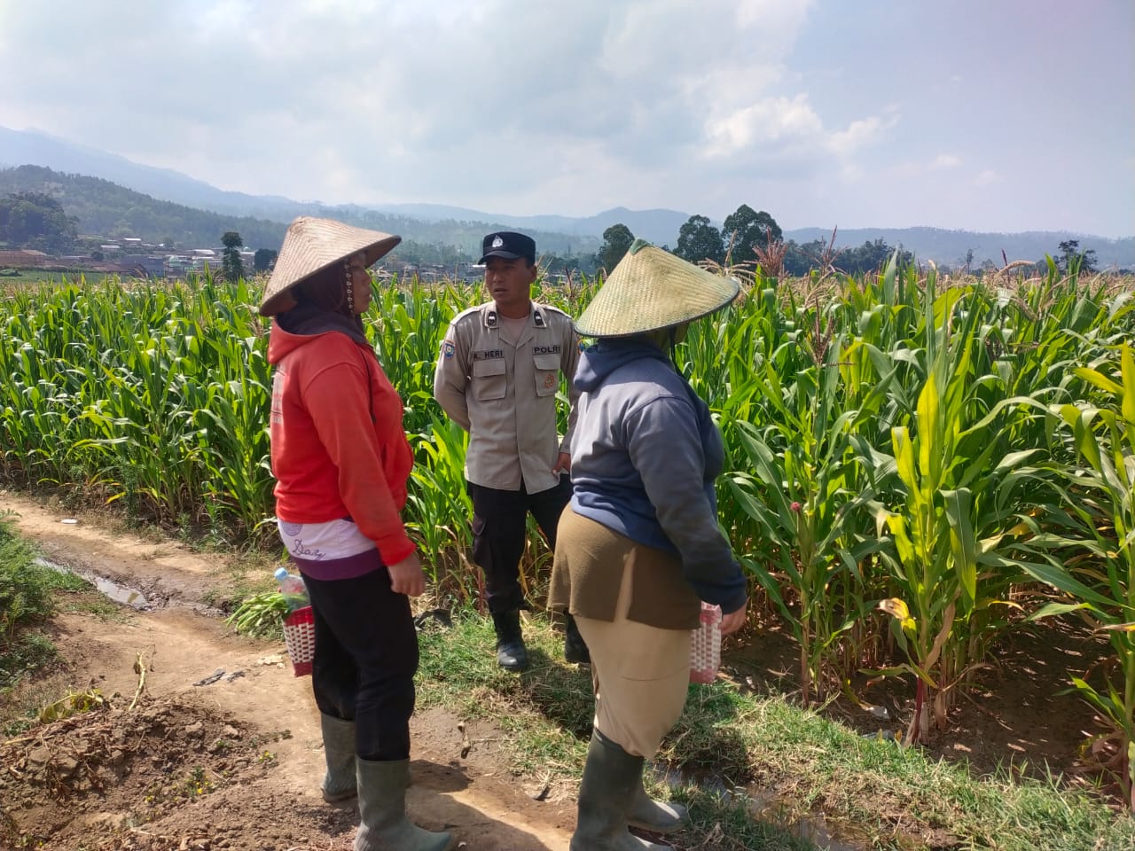 Binmas Pioner Polsek Pujon Perkuat Kemitraan dengan Petani Bendosari, Dukung Ketahanan Pangan Berkelanjutan