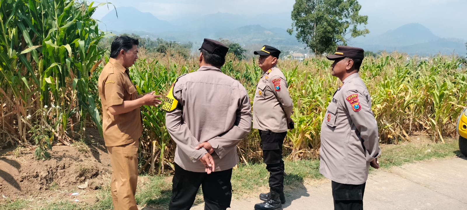 Kapolsek Pujon Turun ke Lahan, Pantau Pertumbuhan Jagung dan Perkuat Komitmen Ketahanan Pangan Nasional