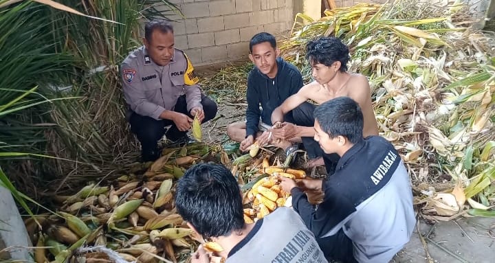 Panen Tuntas, Binmas Pioner Polsek Junrejo Dampingi Petani Optimalkan Hasil Pertanian untuk Ketahanan Pangan
