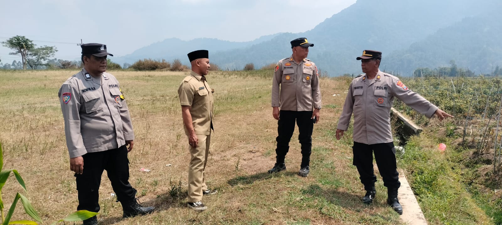 Kapolsek Pujon Tinjau Pertumbuhan Jagung di Sukomulyo, Perkuat Sinergi Wujudkan Ketahanan Pangan Nasional