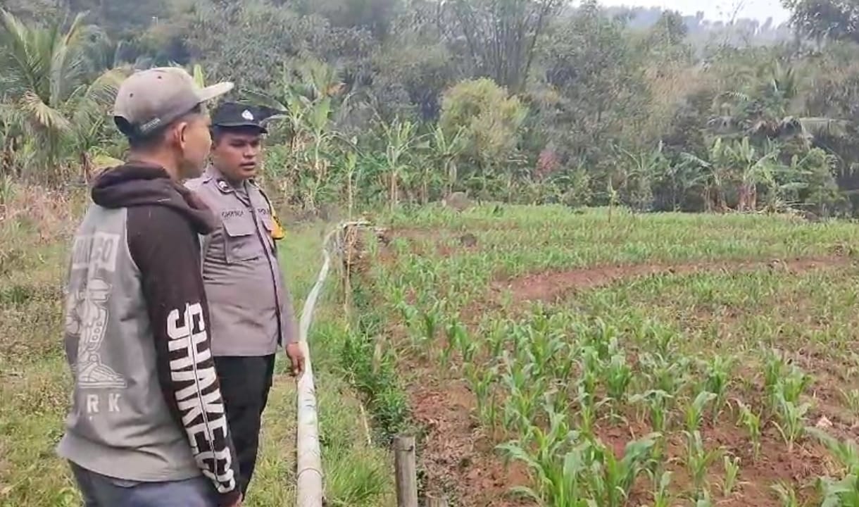 Polri Sambang Petani, Perkuat Ketahanan Pangan dari Lahan Hingga Peternakan