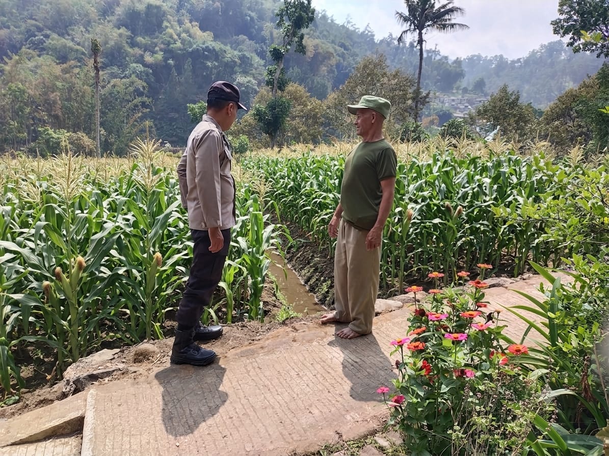Sambang ke Lahan, Bhabinkamtibmas Pandesari Serap Aspirasi Petani
