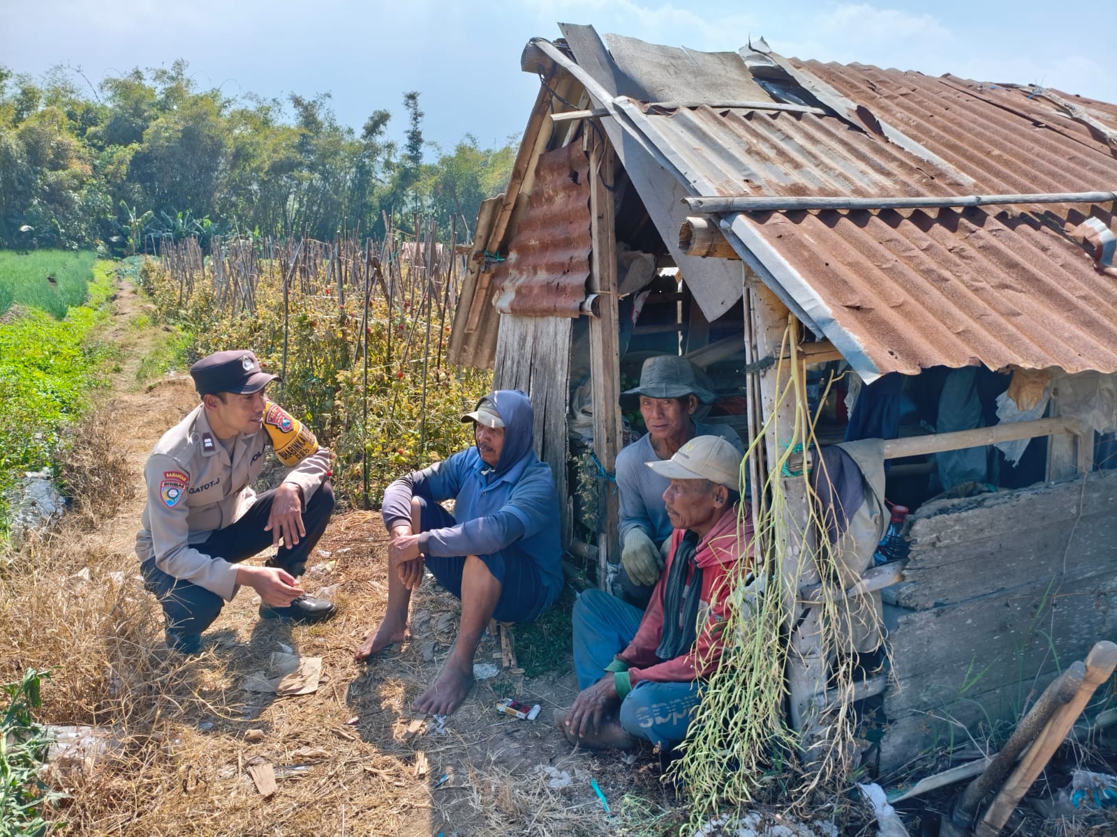 Polri Turun ke Lahan, Serap Aspirasi Petani Jagung Soal Pupuk dan Biaya Produksi