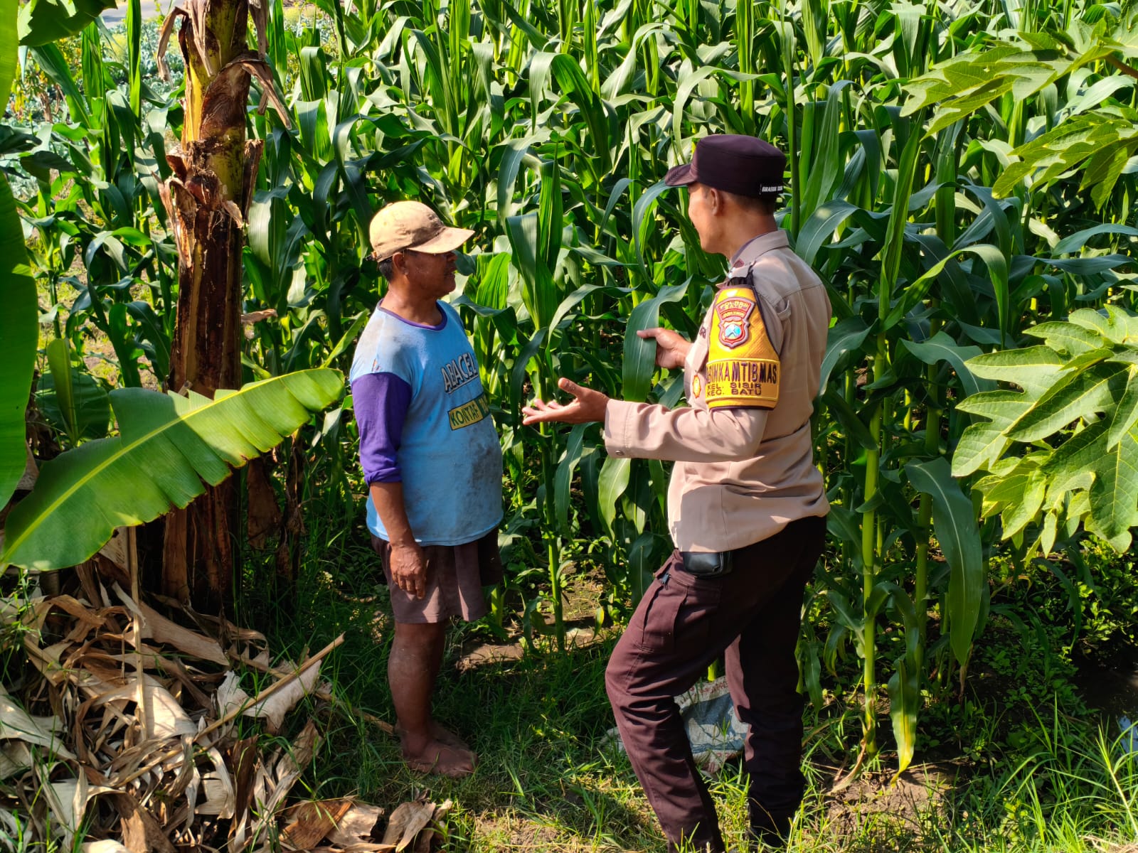 Sambang Petani di Sisir, Polri Perkuat Keamanan Lahan dan Lindungi Hasil Pertanian