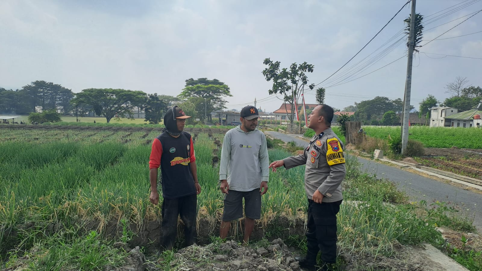 Sambang Petani Bawang Pre, Polri Kawal Panen dan Dukung Ketahanan Pangan