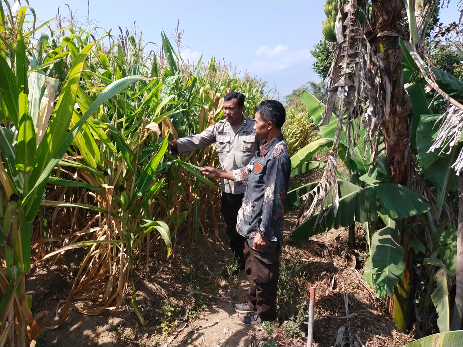 Sambang Petani, Polri Serap Aspirasi dan Perkuat Ketahanan Pangan