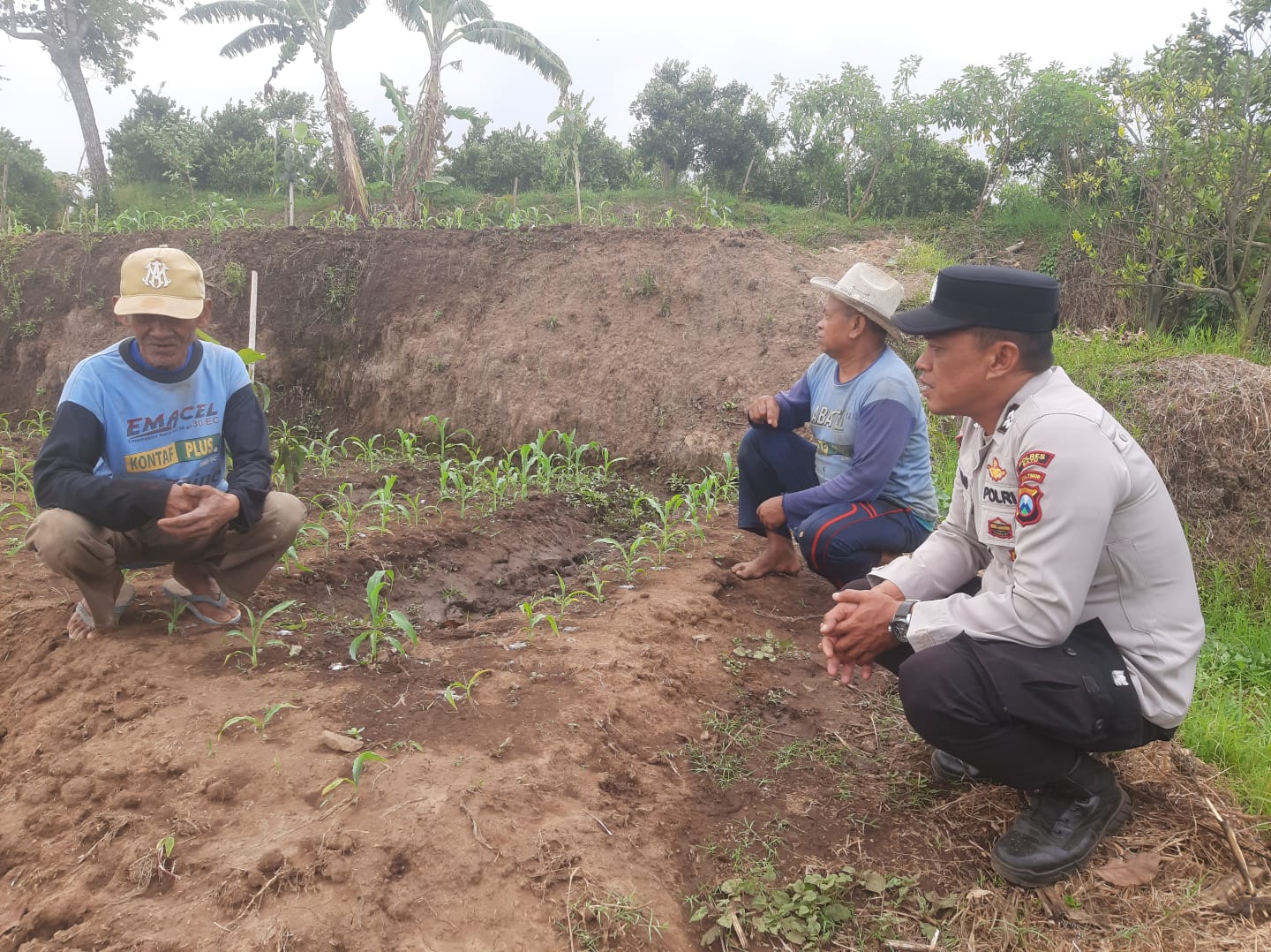 Turun ke Lahan, Polsek Bumiaji Dorong Petani Perkuat Ketahanan Pangan