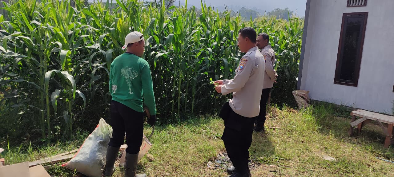 Sambang Petani, Polri Hadir Serap Aspirasi dan Jaga Ketahanan Pangan
