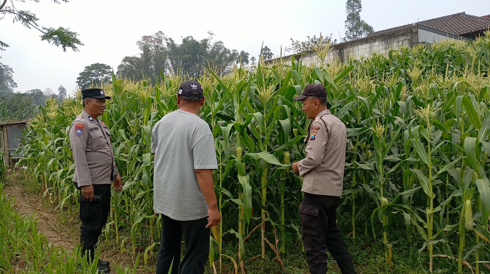 Sambang Petani, Polri Hadir Serap Aspirasi dan Perkuat Ketahanan Pangan