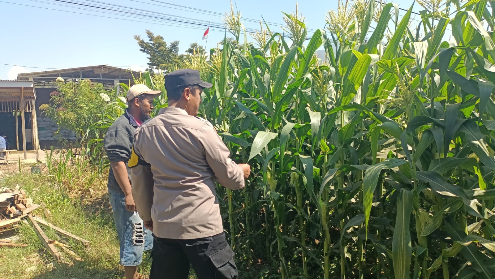 Serap Aspirasi Petani, Bhabinkamtibmas Perkuat Ketahanan Pangan