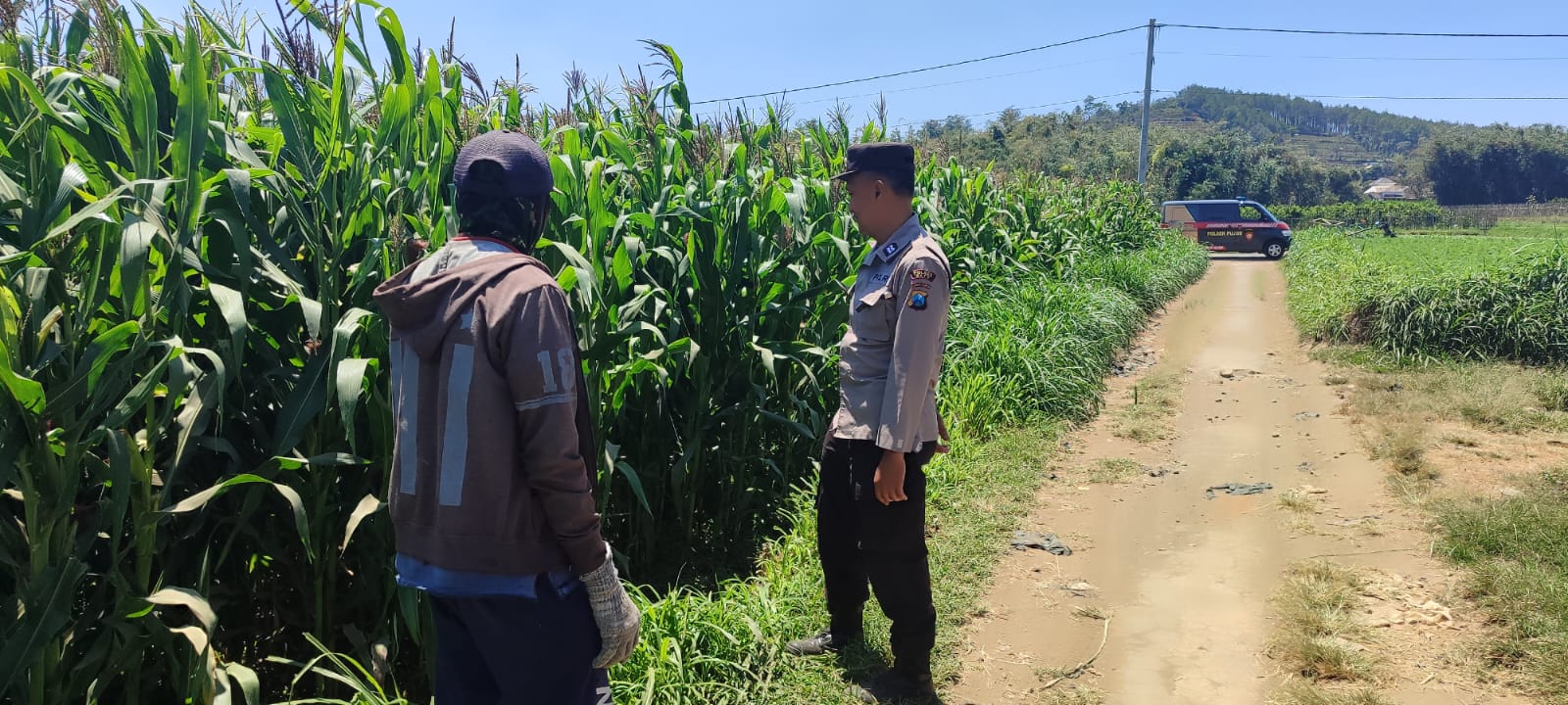 Dekat dengan Petani, Polri Dorong Pertanian Aman dan Produktif